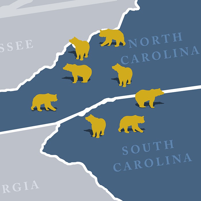 mapa de Carolinas con osos